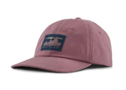 Patagonia '73 Skyline Trad Cap