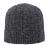 Men's Wagner Beanie